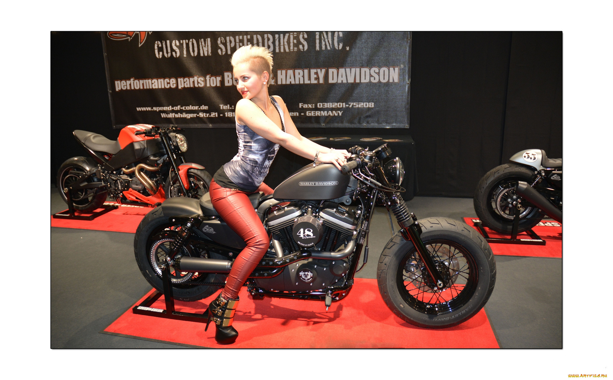 harley-davidson, ,   , , 